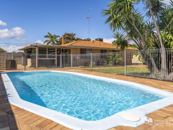 101 Boundary Road Dudley Park has an inviting pool surrounded by tropical plants